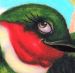 Tattoos - South american Colibri - 20555